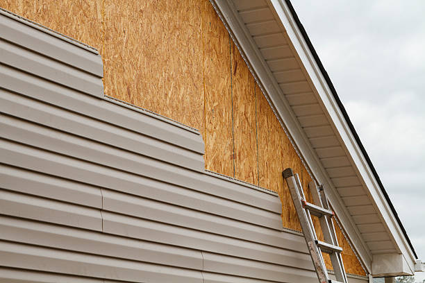 Professional Storm Damage Siding Repair technician working in Neeses, SC